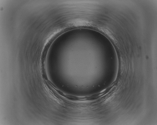 X0000070360391200606091037