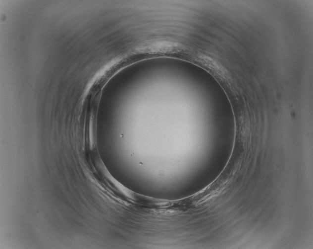 X0000070360392200606091037