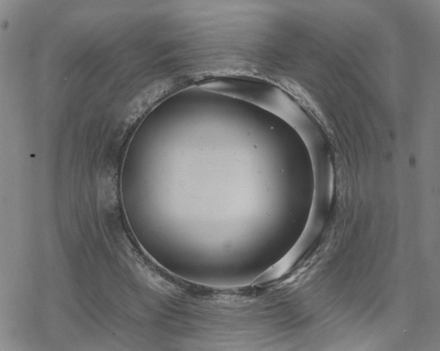 X0000070360393200606091037