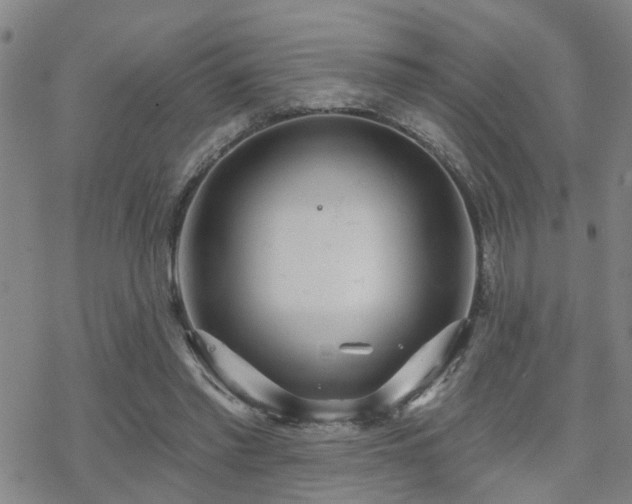 X0000070360397200606091037