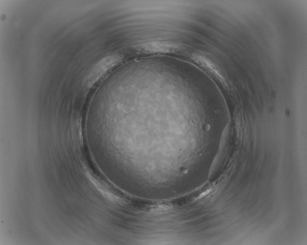 X0000070360398200606091037