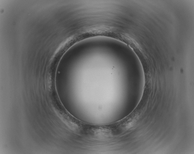 X0000070360400200606091037