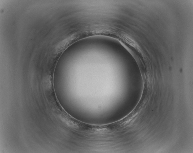 X0000070360401200606091037