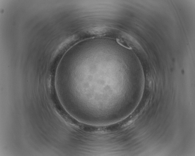 X0000070360404200606091037