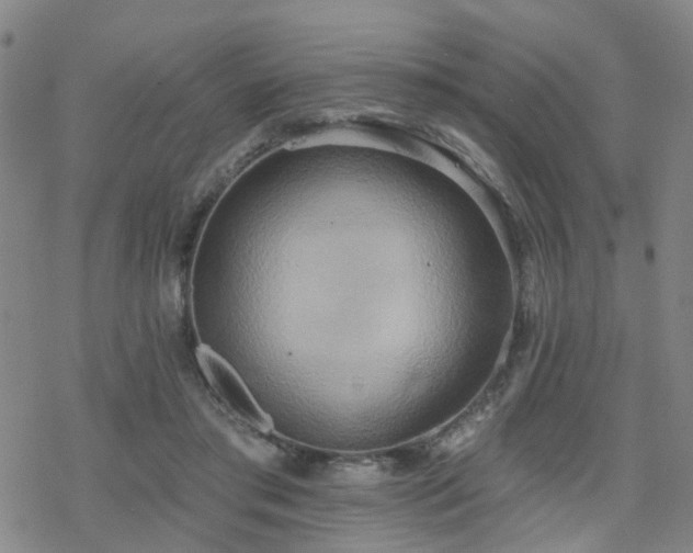 X0000070360405200606091037