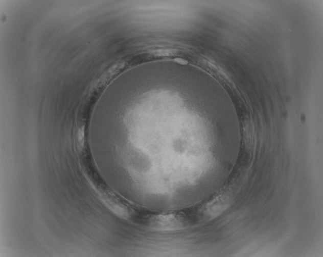 X0000070360406200606091037