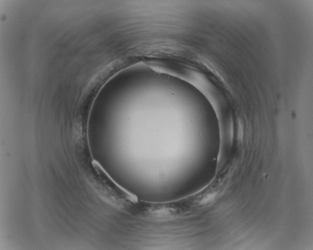 X0000070360407200606091036