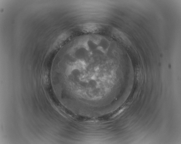 X0000070360408200606091036