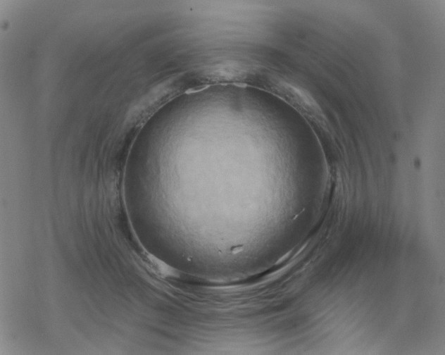 X0000070360409200606091036