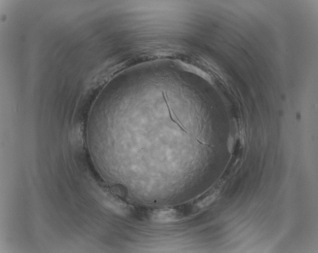 X0000070360410200606091036