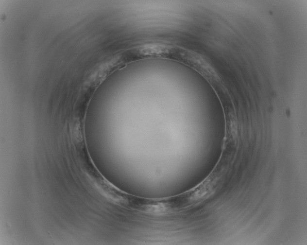 X0000070360411200606091036