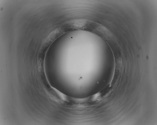 X0000070360412200606091036