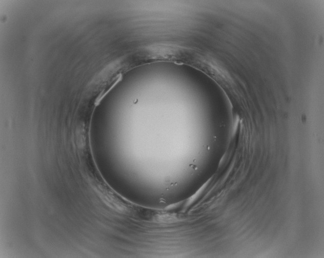 X0000070360413200606091036