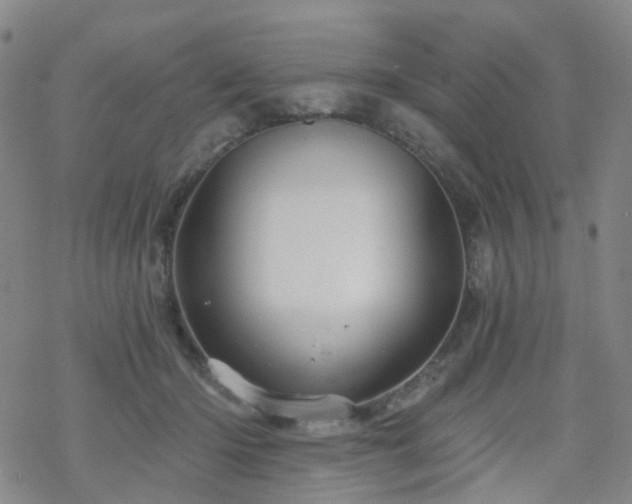 X0000070360414200606091036