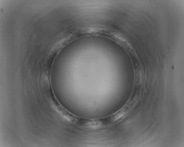 X0000070360415200606091036