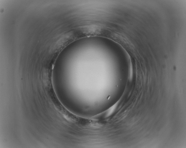 X0000070360416200606091036