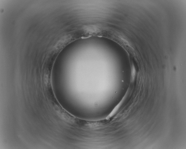 X0000070360417200606091036