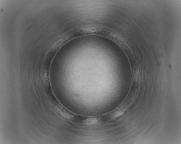 X0000070360418200606091036