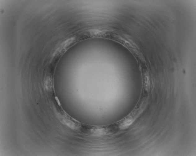 X0000070360419200606091036