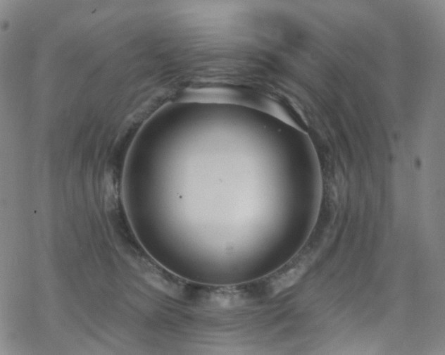 X0000070360420200606091036