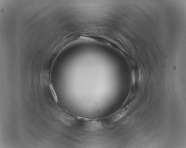 X0000070360421200606091036