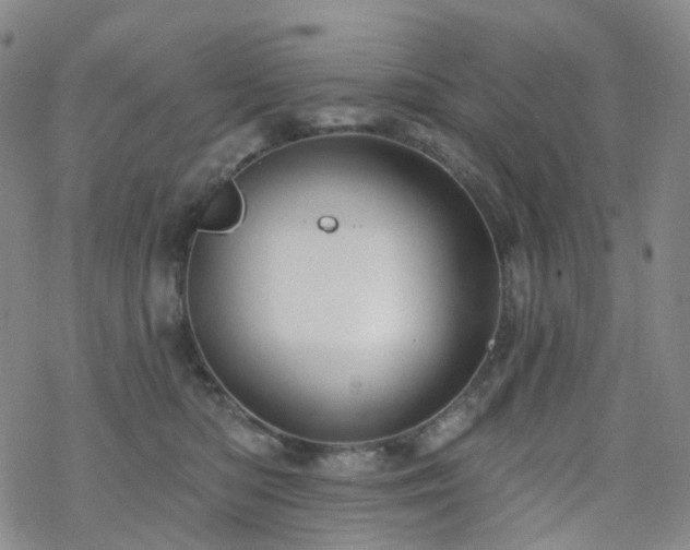 X0000070360422200606091036