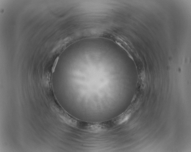 X0000070360423200606091036