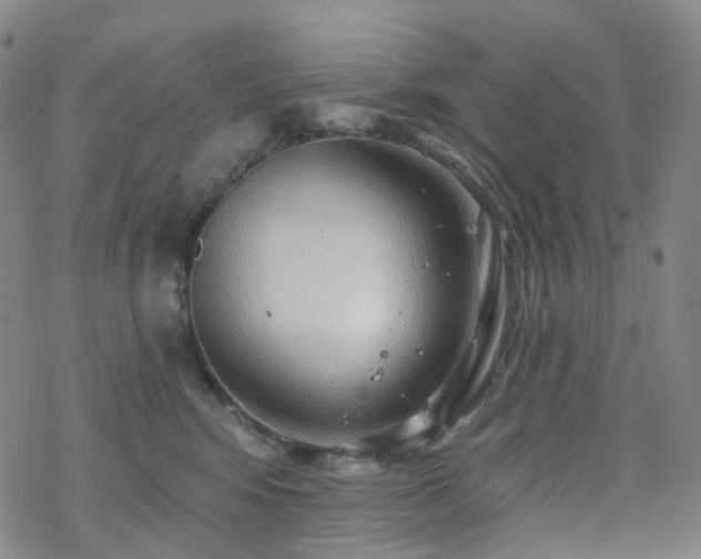 X0000070360424200606091036