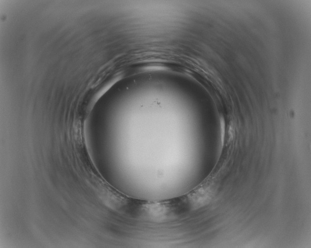 X0000070360425200606091036