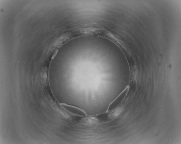 X0000070360427200606091036