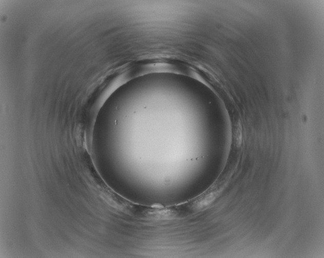 X0000070360428200606091036