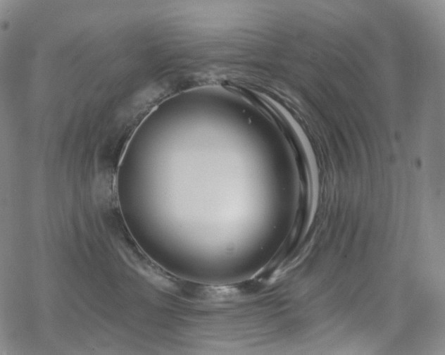 X0000070360429200606091036