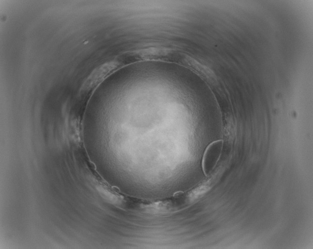 X0000070360430200606091036