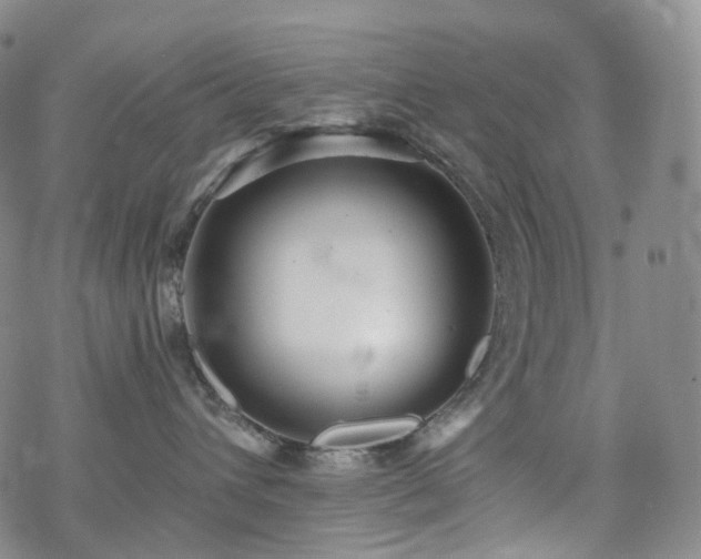 X0000070360432200606091036