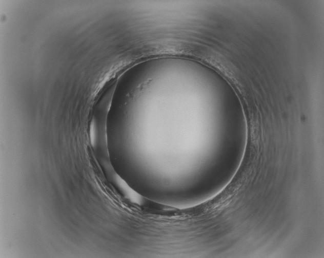 X0000070360434200606091035