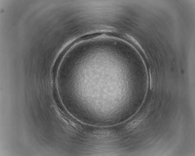 X0000070360435200606091035