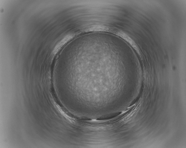 X0000070360437200606091035