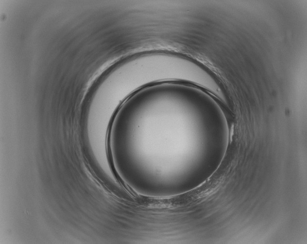 X0000070360440200606091035