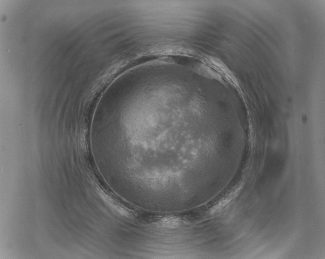 X0000070360441200606091035