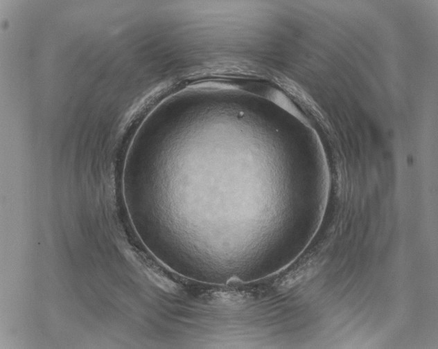 X0000070360442200606091035