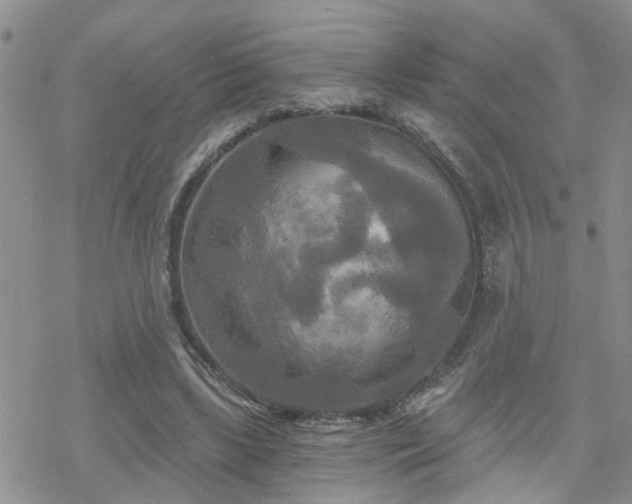 X0000070360443200606091035