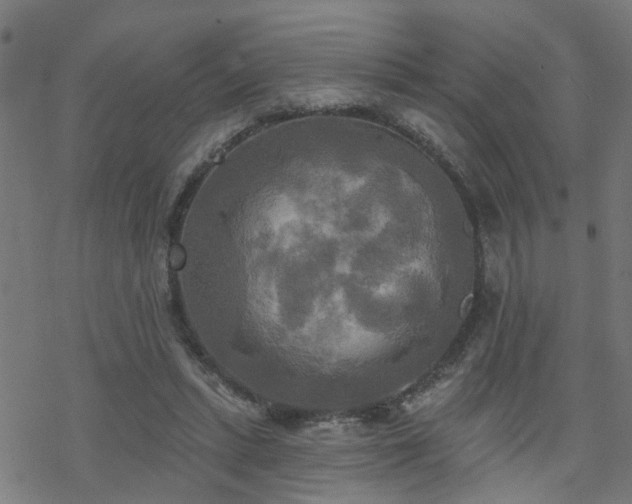 X0000070360447200606091036