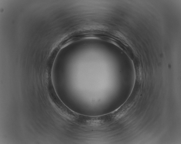 X0000070360448200606091036