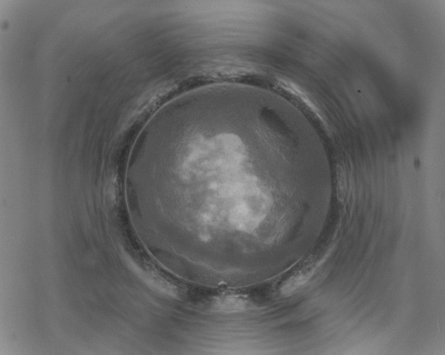 X0000070360451200606091036