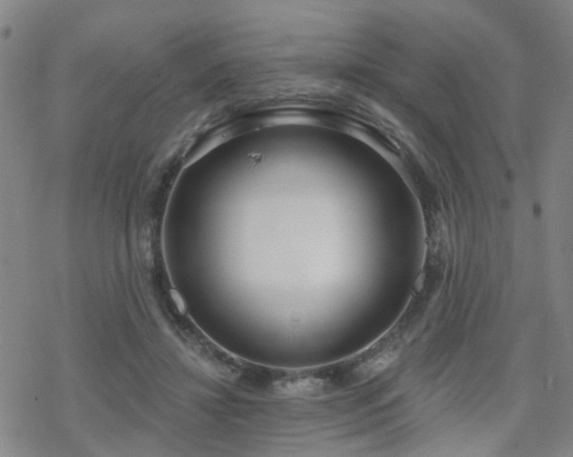 X0000070360452200606091036