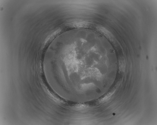 X0000070360453200606091036