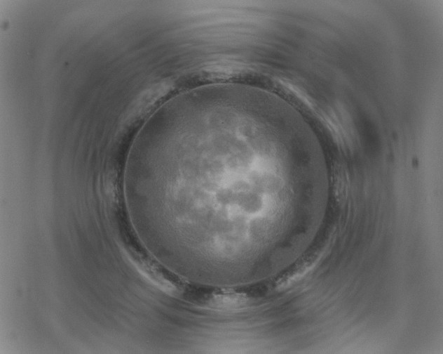 X0000070360455200606091036