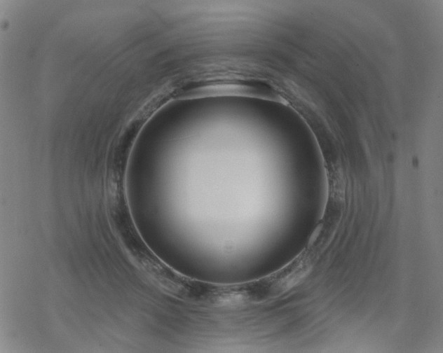 X0000070360456200606091036