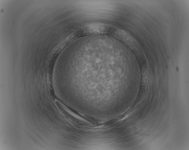 X0000070360457200606091036