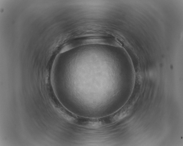 X0000070360458200606091036